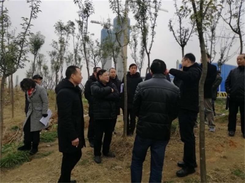 宜昌市水电局领导视察三峡后续二期河道治理工程一标段