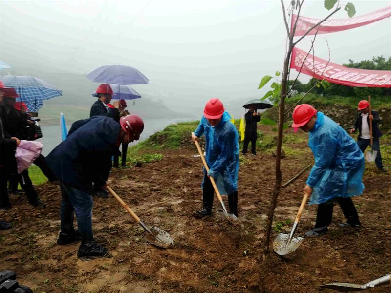 热烈祝贺秭归县三峡库区重点消落区植被恢复工程开工